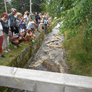 Z krás Šumavy a Lipna. Turistický výlet LKŽ Strakonice 2018-1